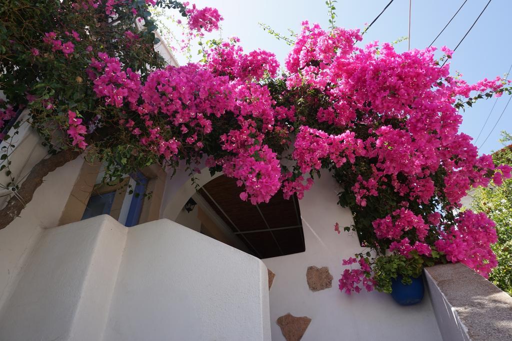 Patmos Maria Studios Скала Номер фото